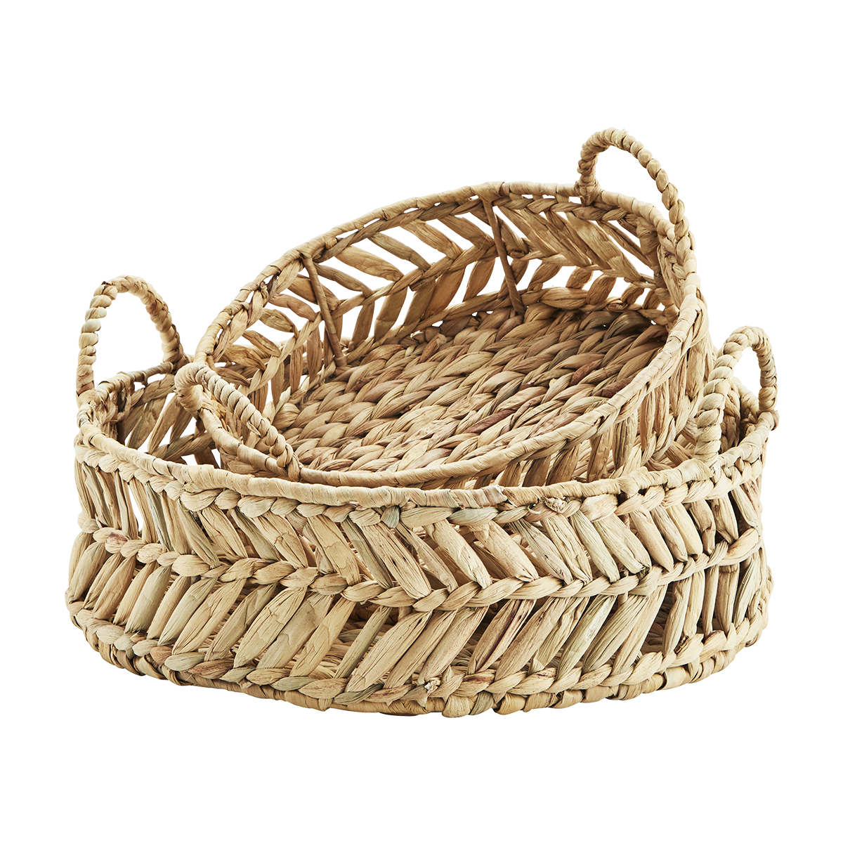 Water hyacinth trays