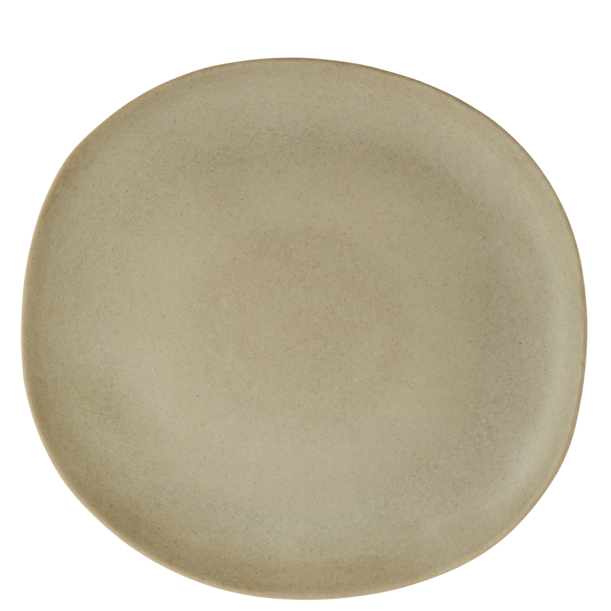 Melamine dinner plate