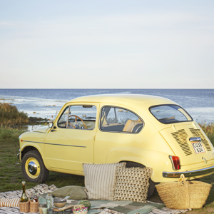 Melamine dinner plate