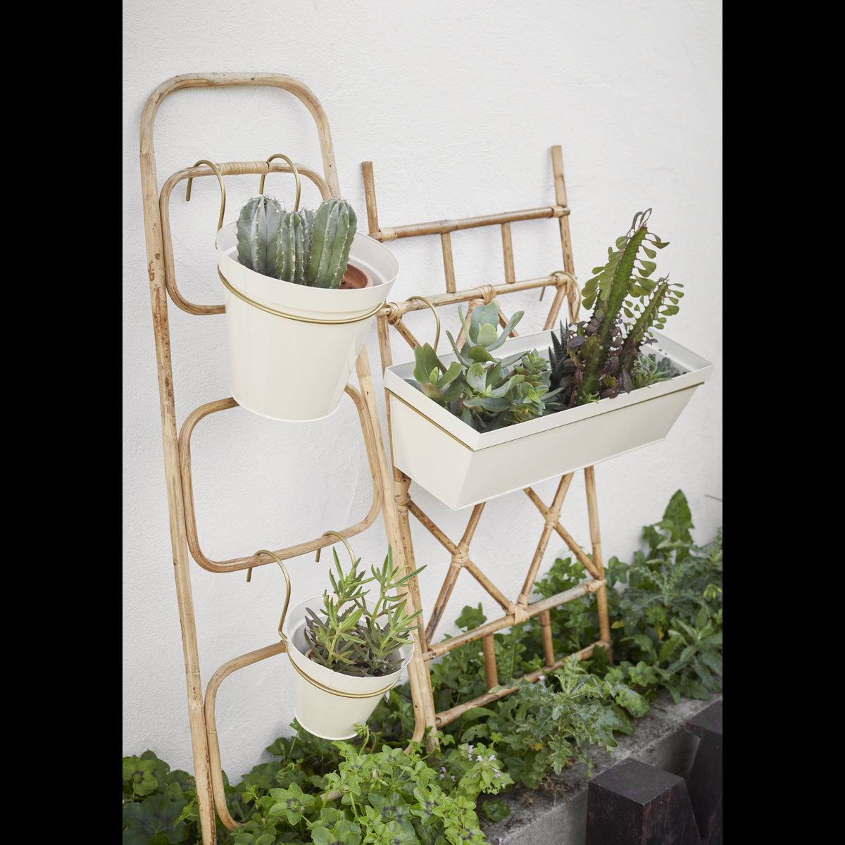 Rattan plant trellis
