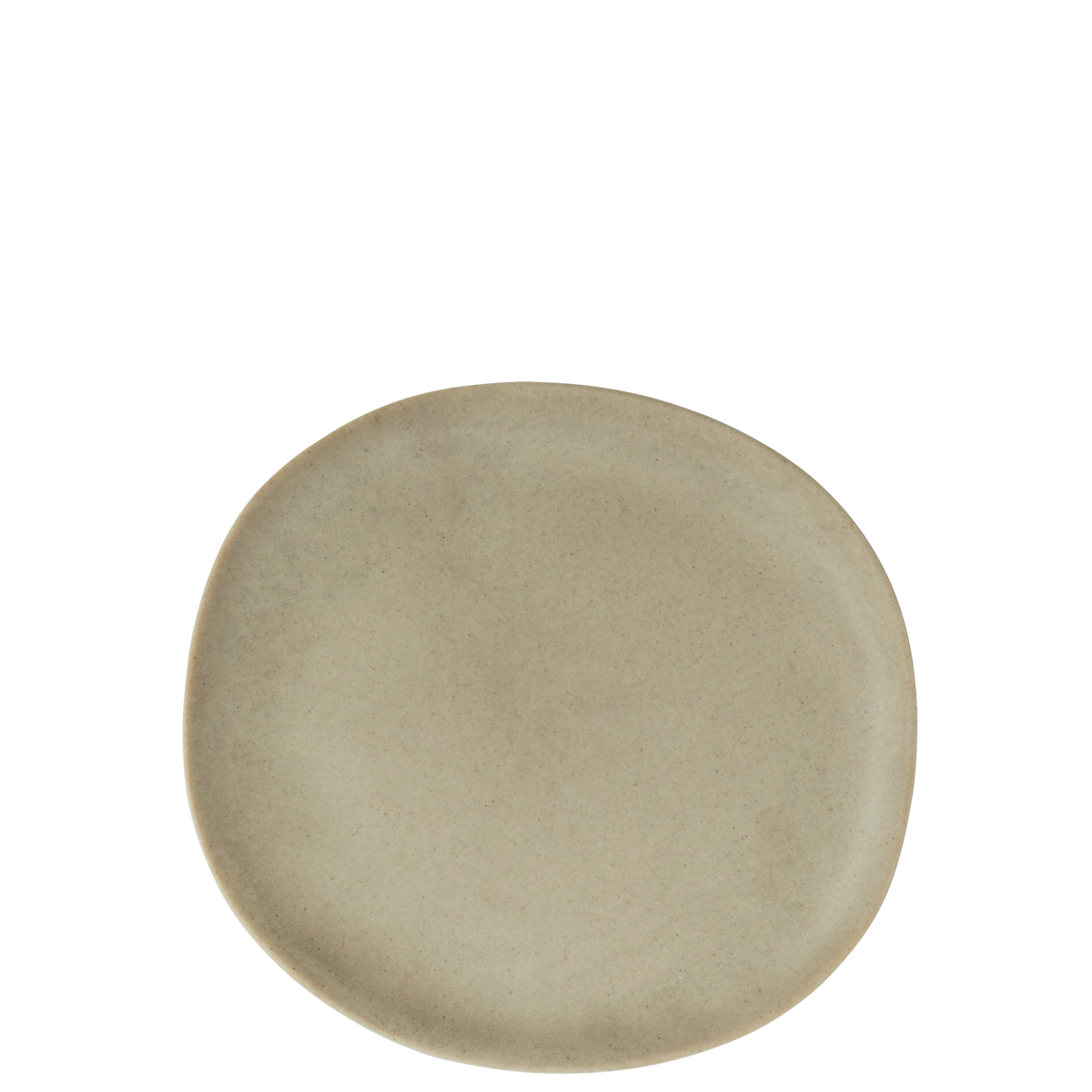 Melamine lunch plate