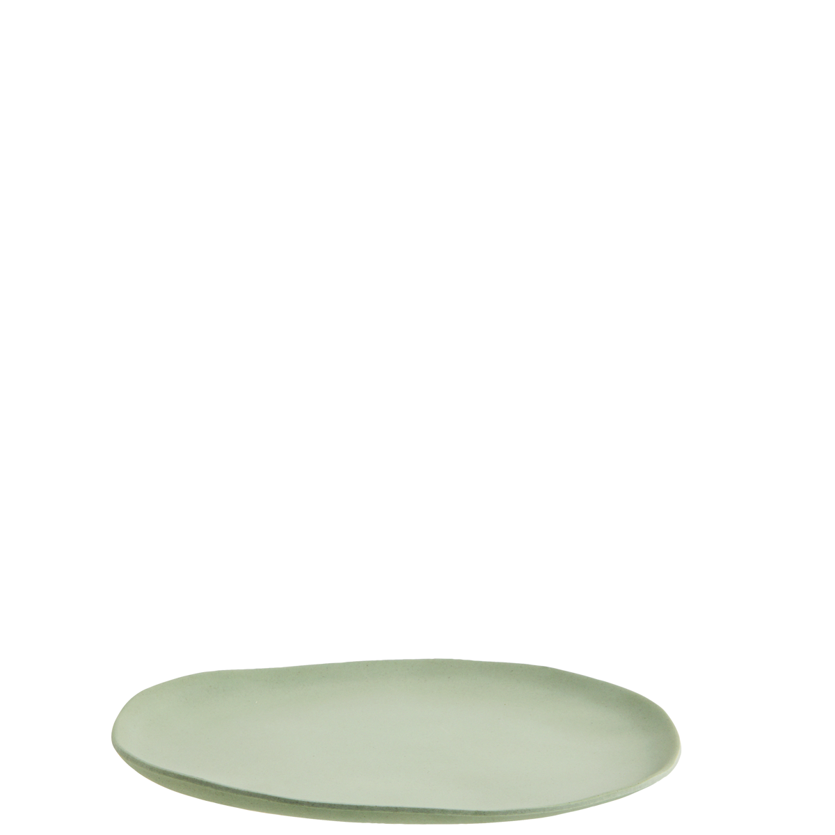 Melamine lunch plate