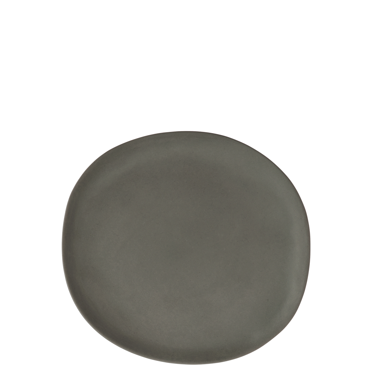 Melamine lunch plate