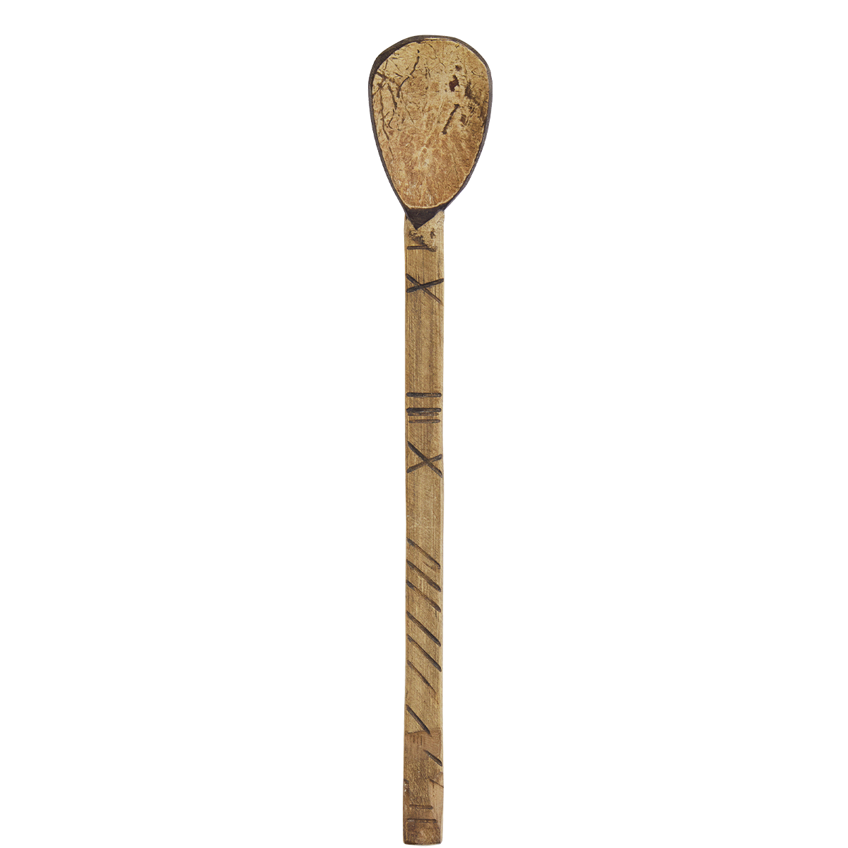 Coconut spoon