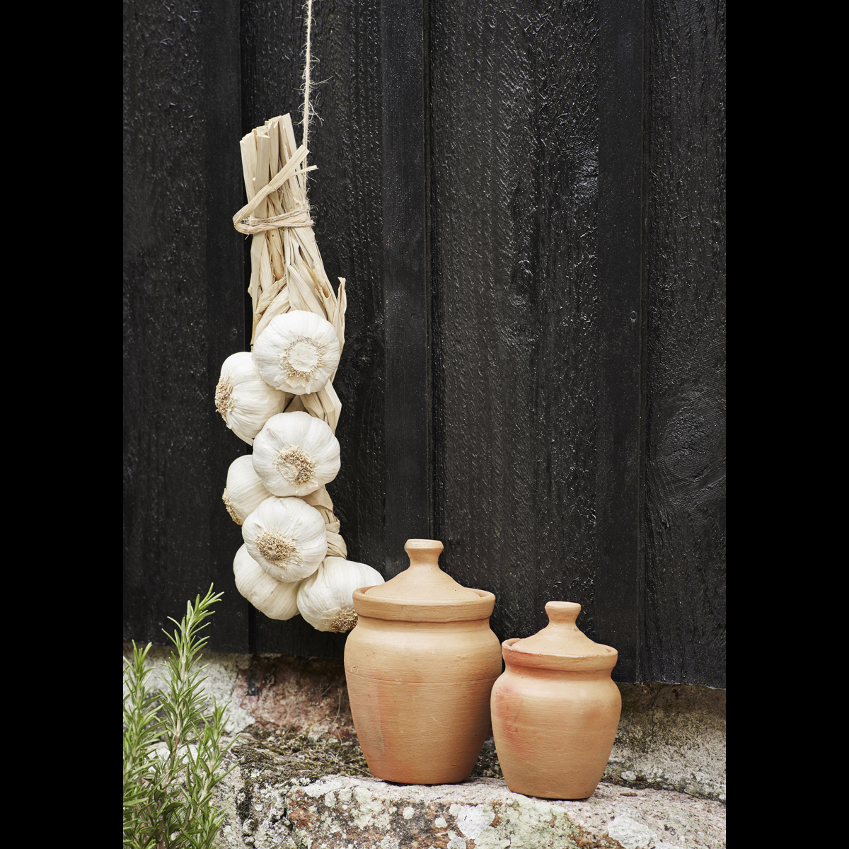 Terracotta jar w/ lid