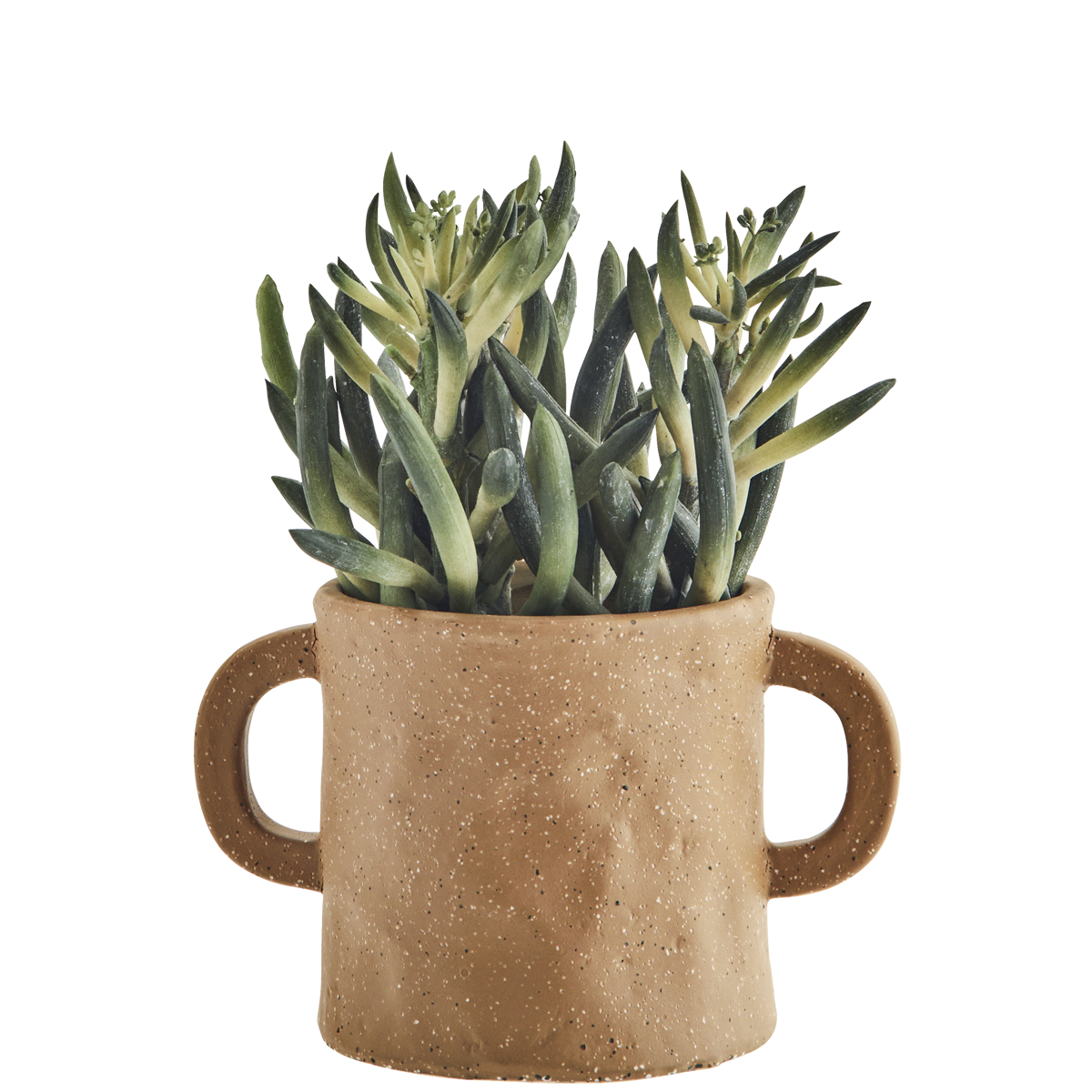 Stoneware flower pot