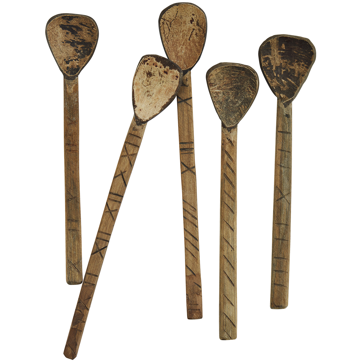 Coconut spoon