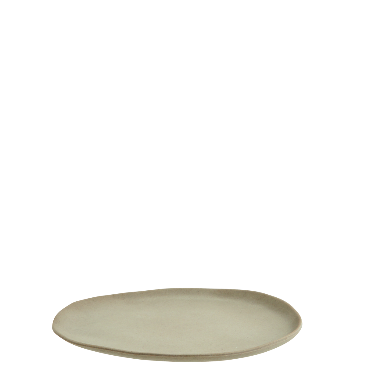 Melamine lunch plate