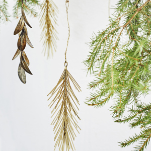Hanging iron spruce twigs
