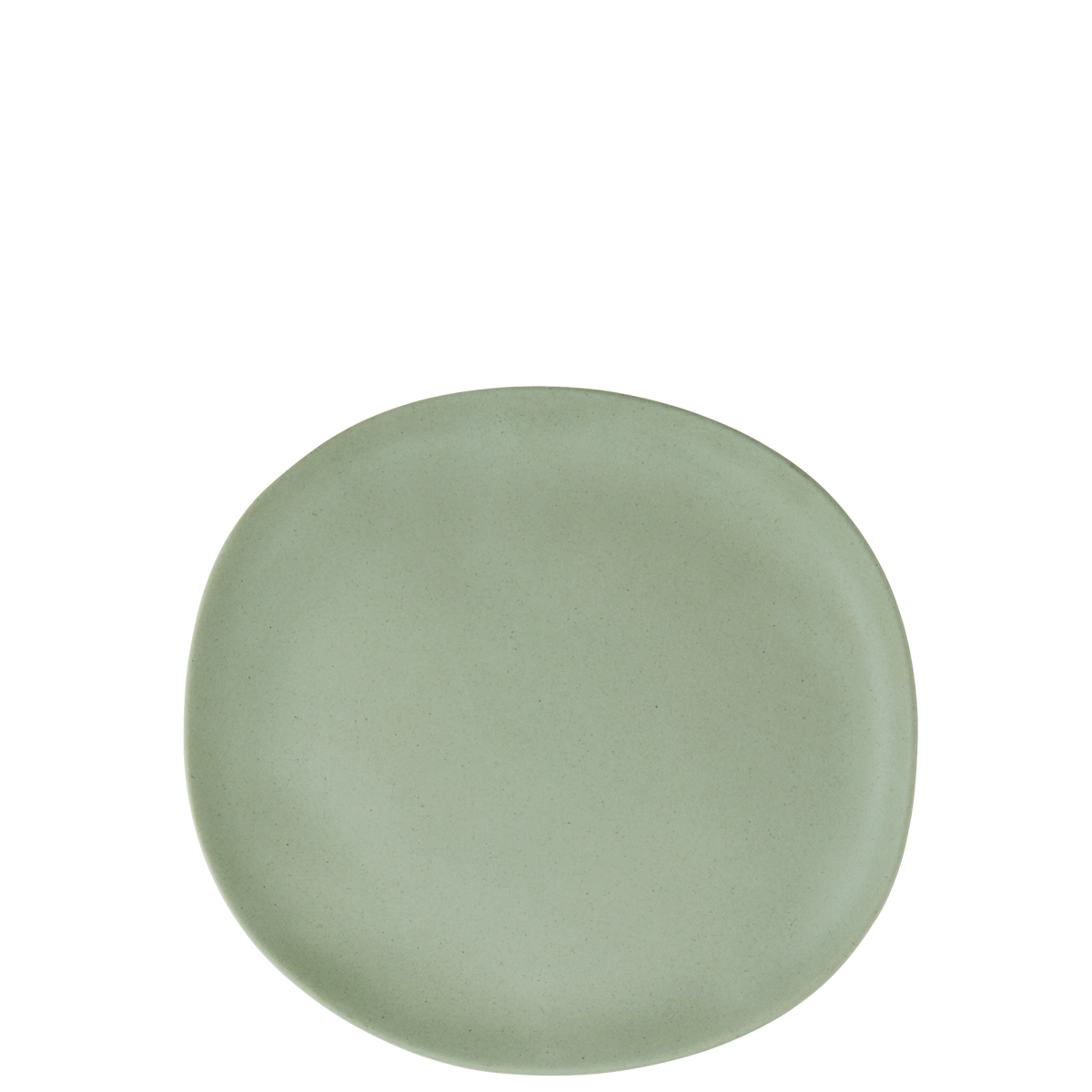 Melamine lunch plate