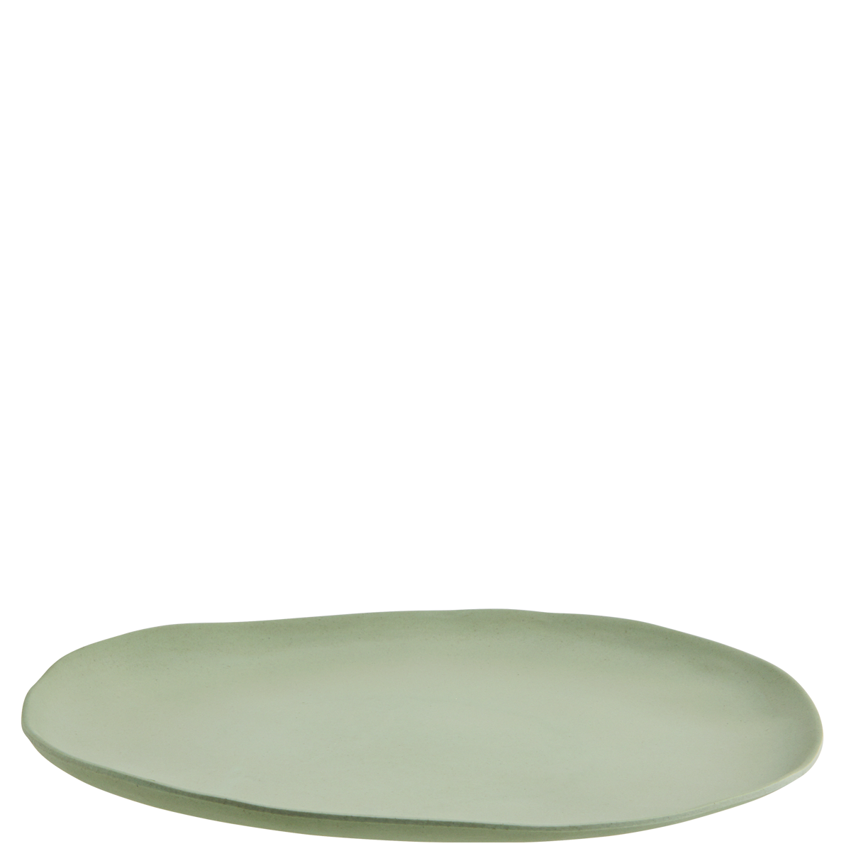 Melamine dinner plate