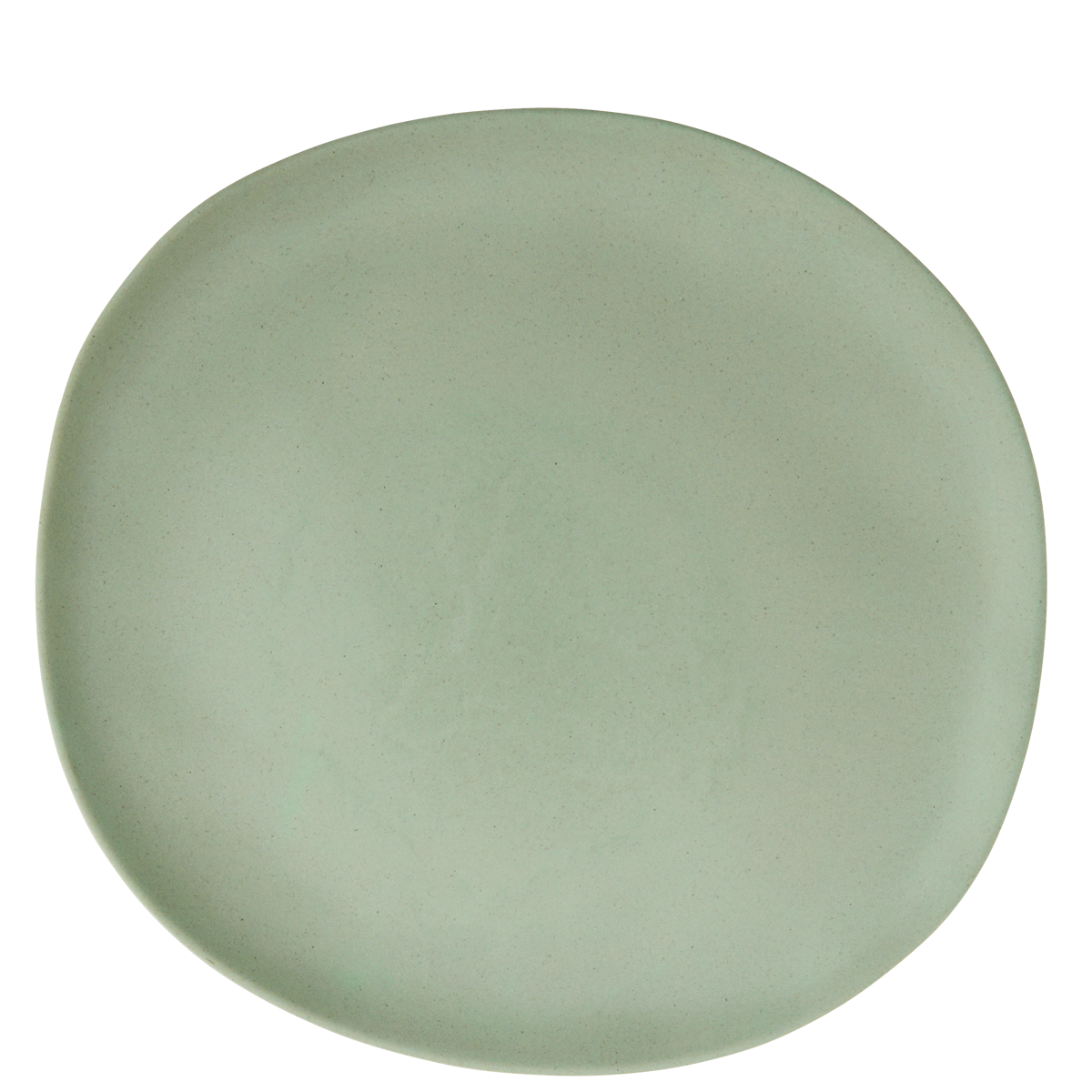 Melamine dinner plate